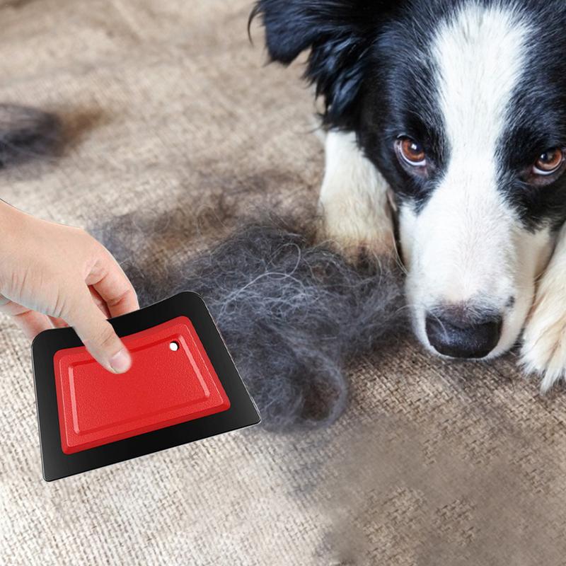 Removedor de pelos de animais  - Carpet Extractor Machine avaliação e preço